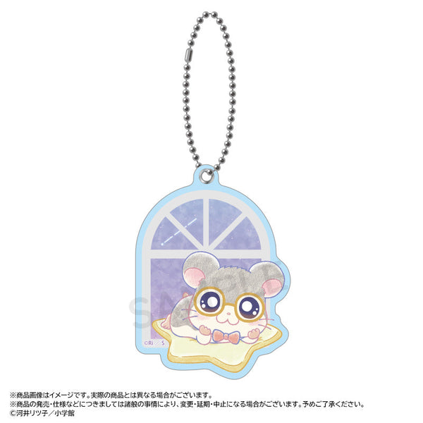 『とっとこハム太郎』~Twinkle Dreams~スライドミラー H.めがねくん